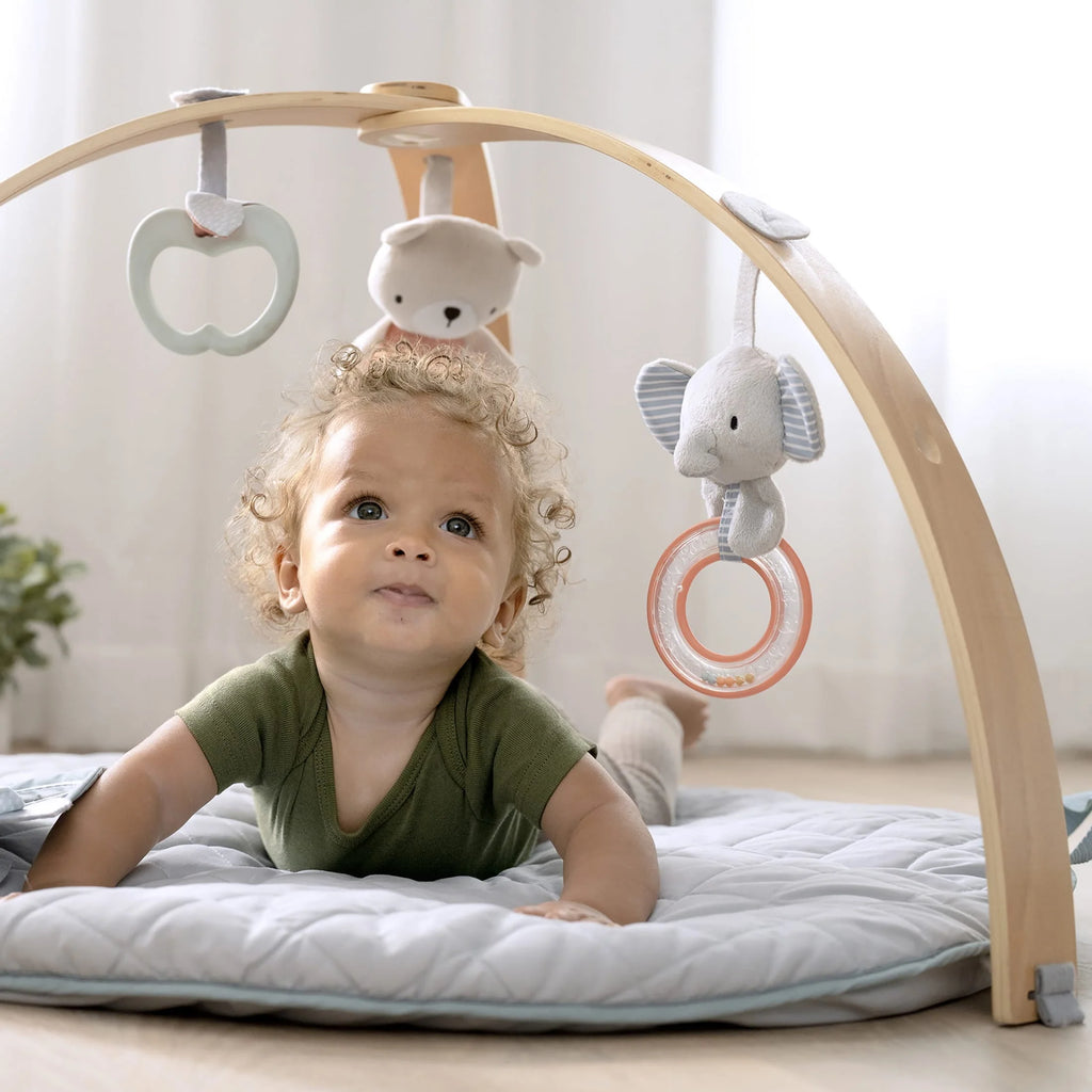 Baby Activity Gym & Tummy Time Play Mat with Storage D2611