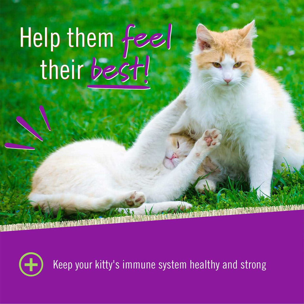 L Lysine Chews for Cats R3466