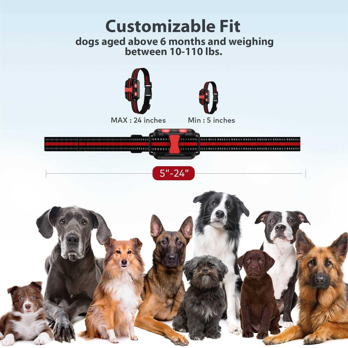 Remote Dog Training Shock Collar System C417