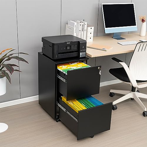 White 2-Drawer Rolling Metal File Cabinet with Lock Y282169