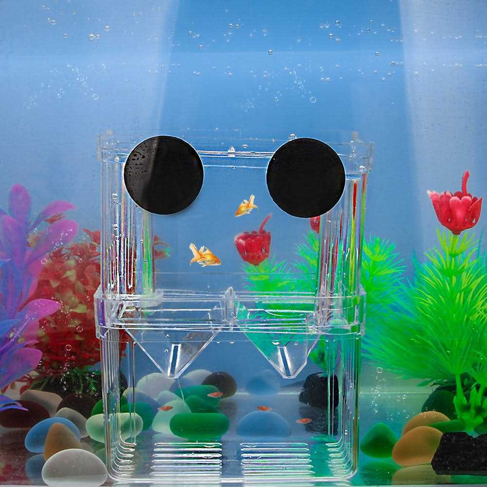 Aquarium Fish Breeder Box Plastic Isolation Hatching Incubator Box V2231