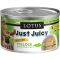 Salmon & Pollock Stew Cat Food B852951