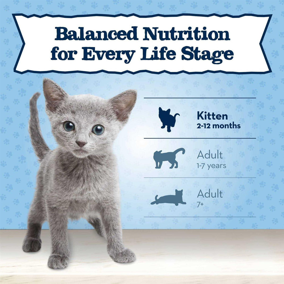 Wet Kitten Food L7911
