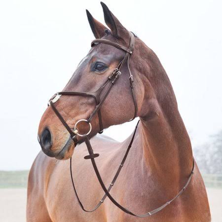 Brown Figure 8 Bridle M974849