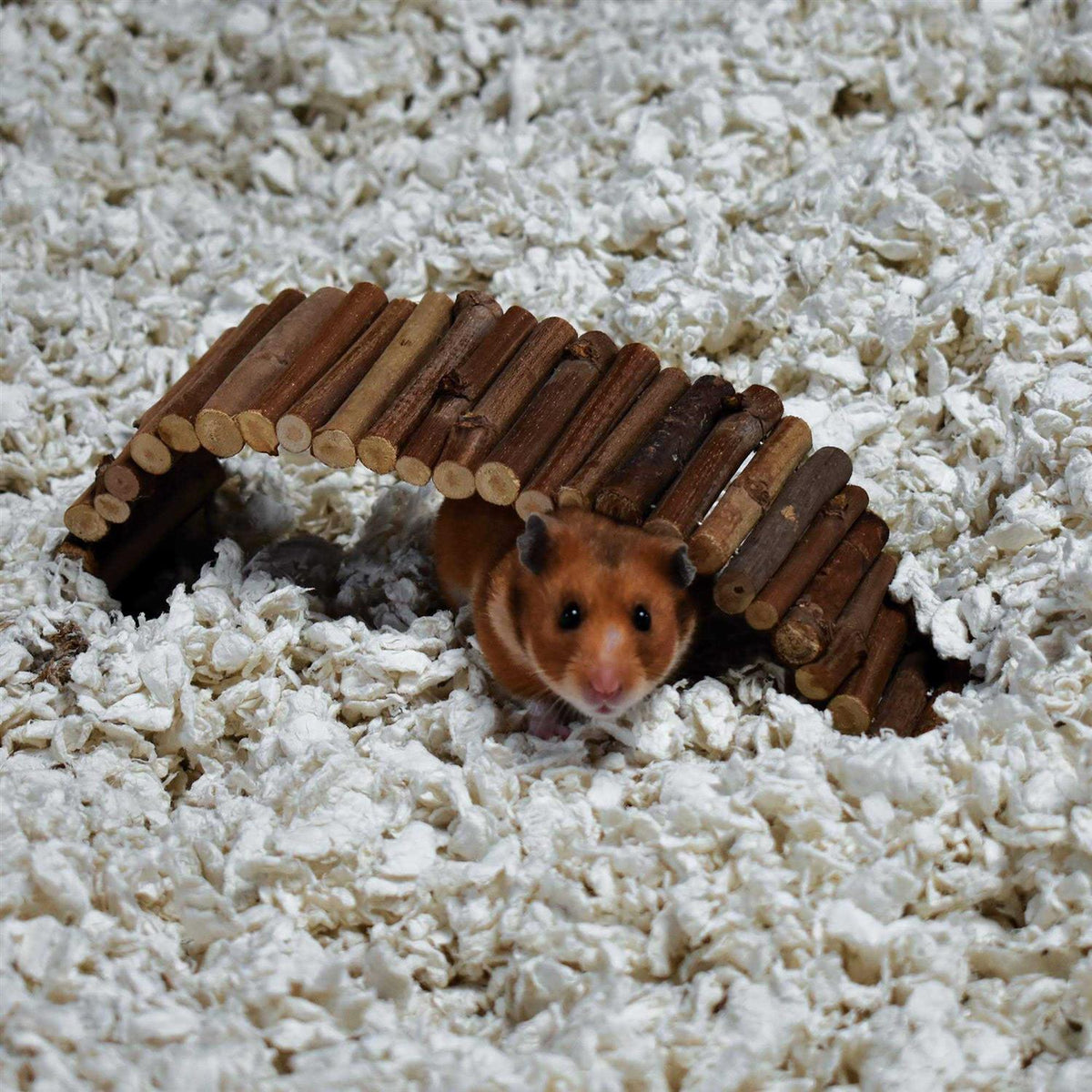White Small Pet Bedding T6541