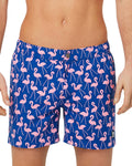 Rose/ Blue Flamingo Print Swim Trunks Z700778