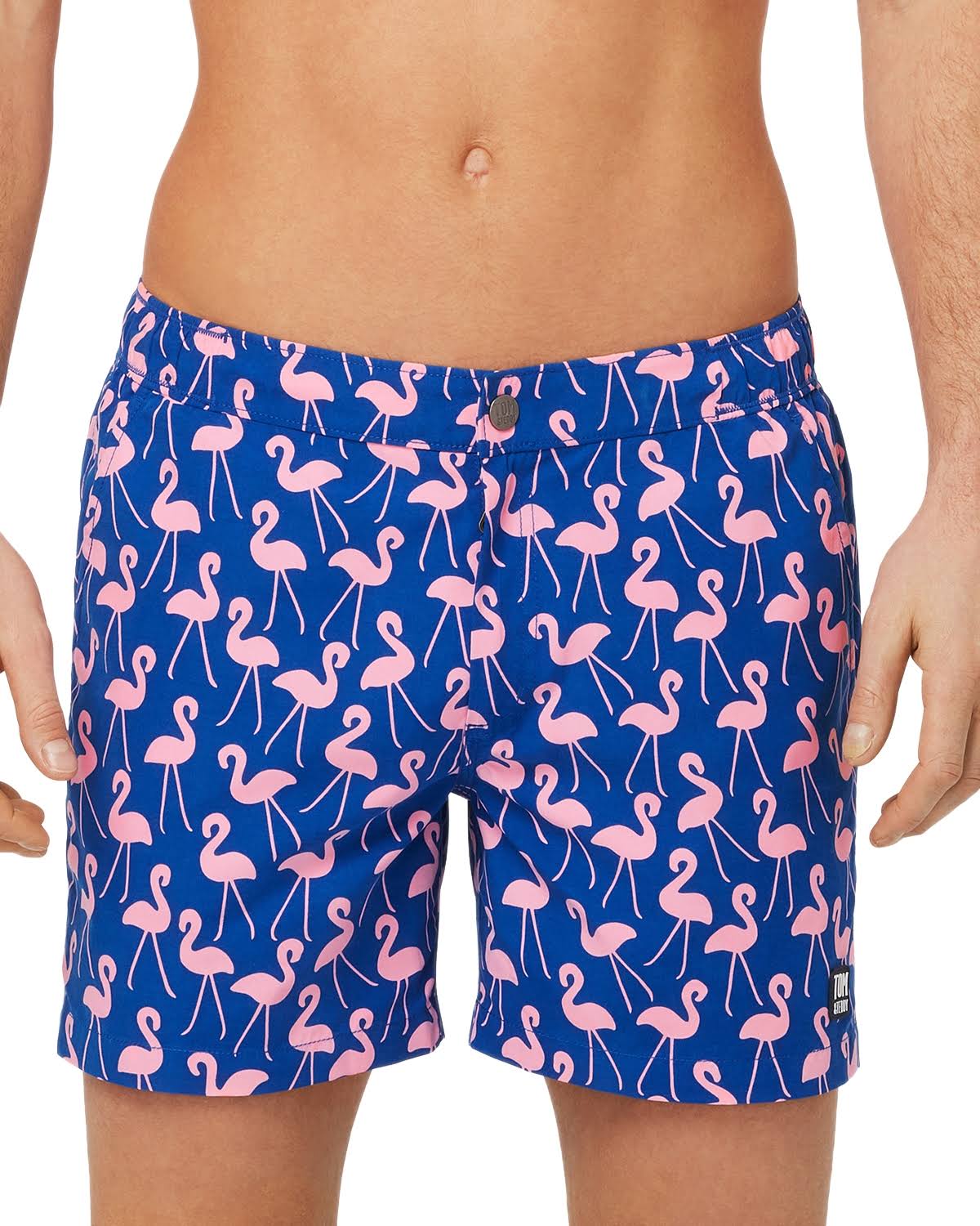 Rose/ Blue Flamingo Print Swim Trunks Z700778