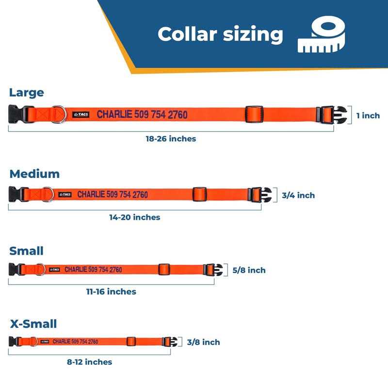 Personalized Dog Collar T560426