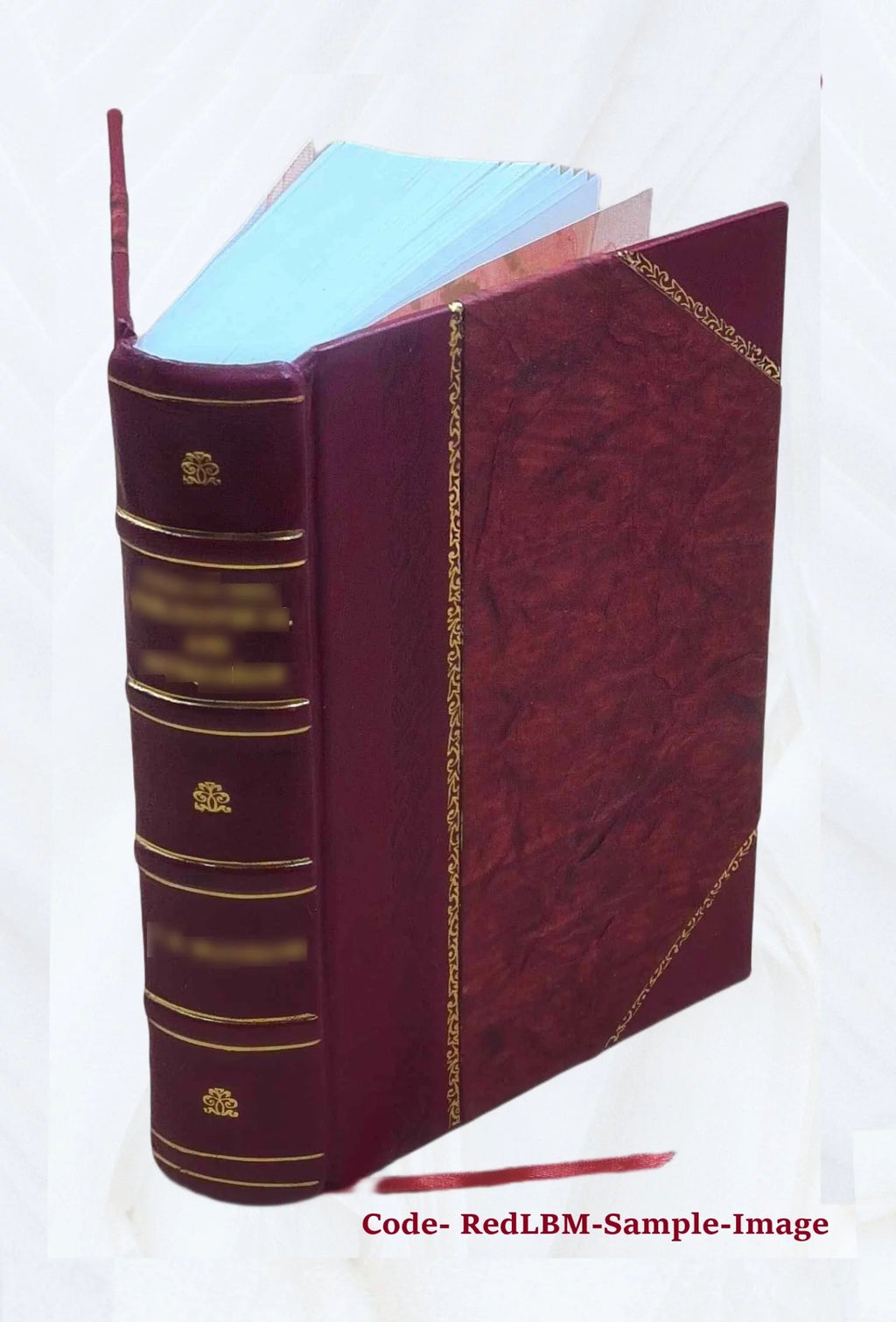 Leather Bound Book Z585