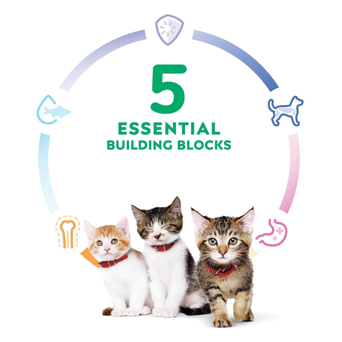 Adult Dry Cat Food L830301