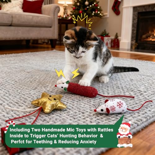 Christmas Cat Toys Set, 10Pcs Catnip Toys with Gift Box L888312