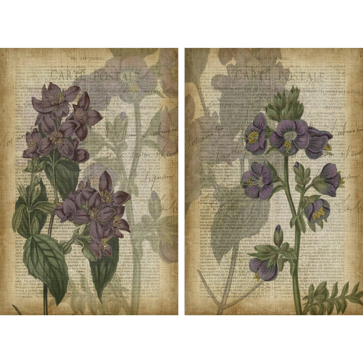 Purple Floral Shadows Diptych E471