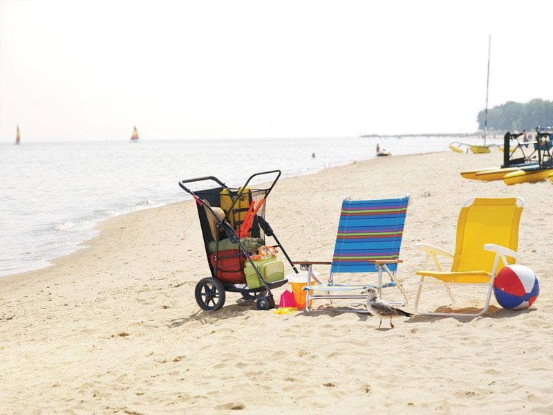 Beach Cart T4194