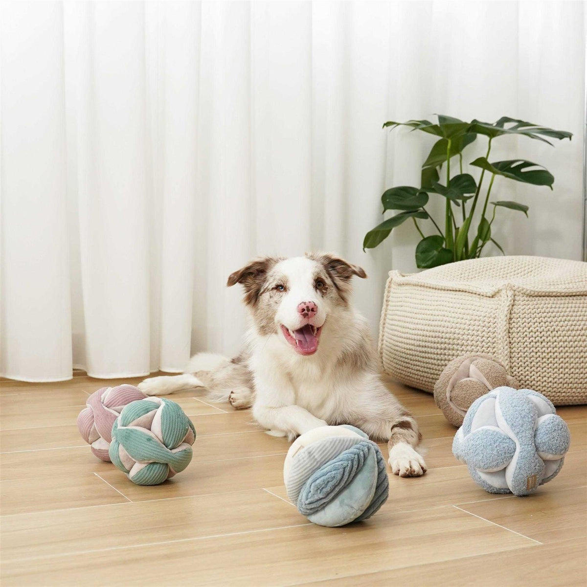 Dog Toy E1608