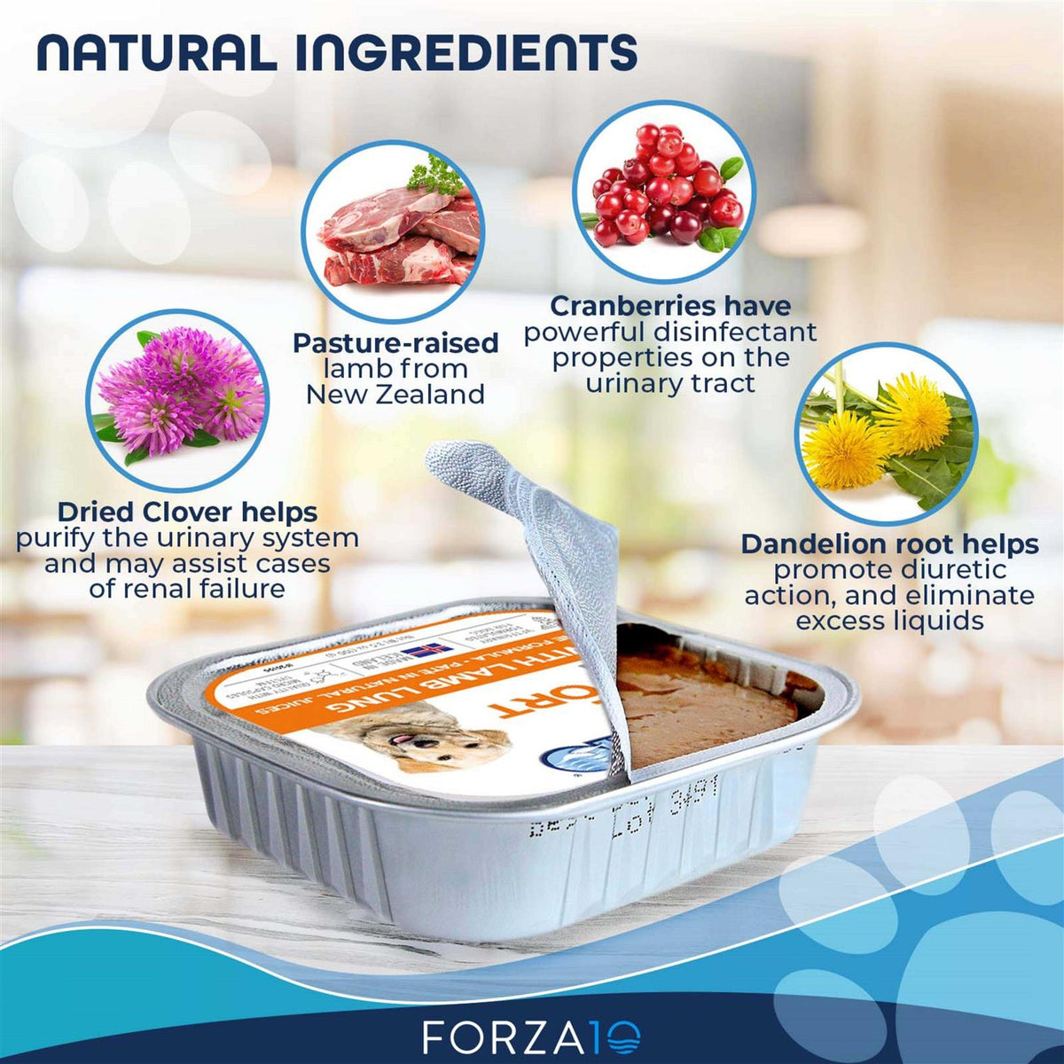 Wet Dog Food T133