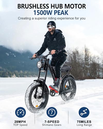 1500W Electric Bike with Full Suspension, 20" Fat Tire, 31.2AH Battery Z3162