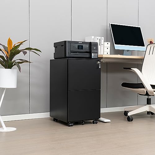 White 2-Drawer Rolling Metal File Cabinet with Lock Y282169