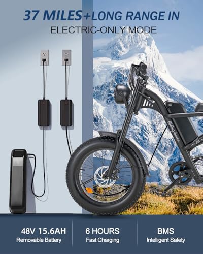 1500W Electric Bike with Full Suspension, 20" Fat Tire, 31.2AH Battery Z3162