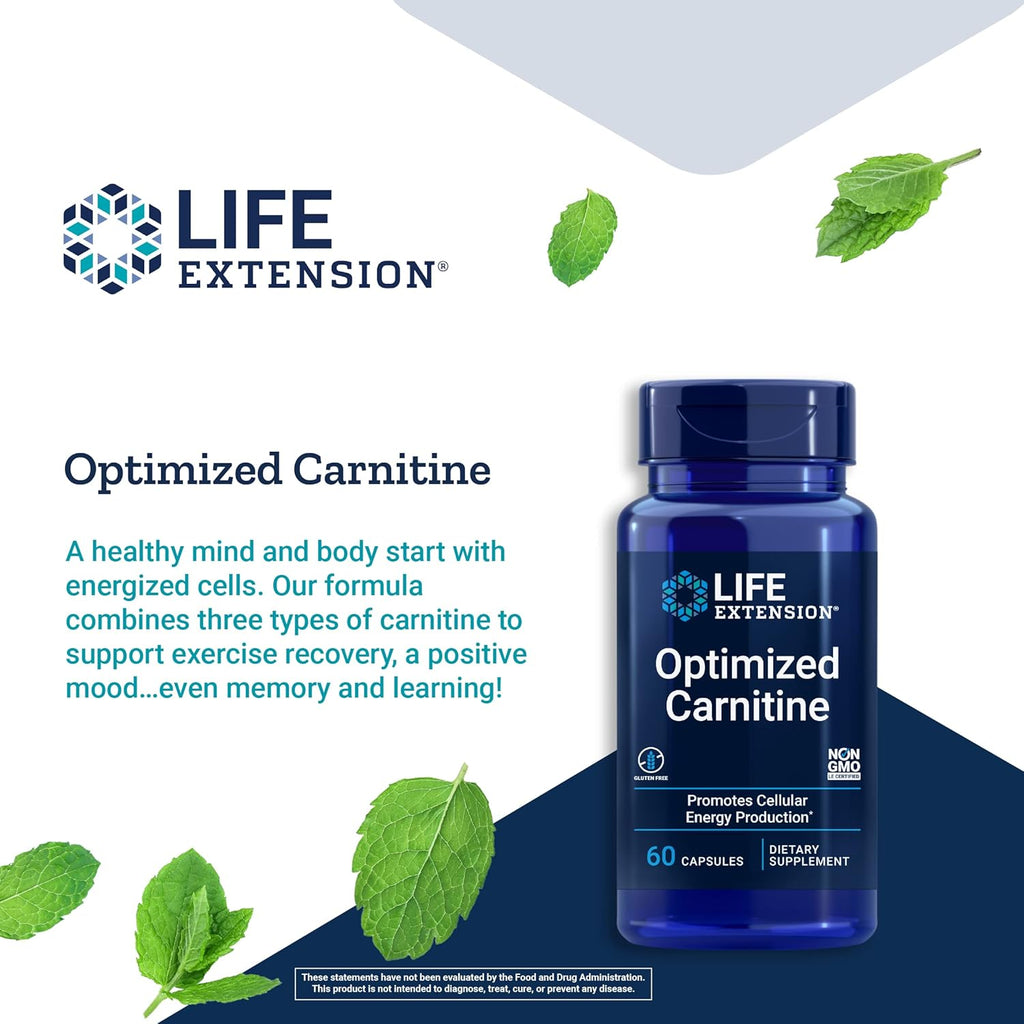 L-Carnitine Supplement 60 Capsules T4197
