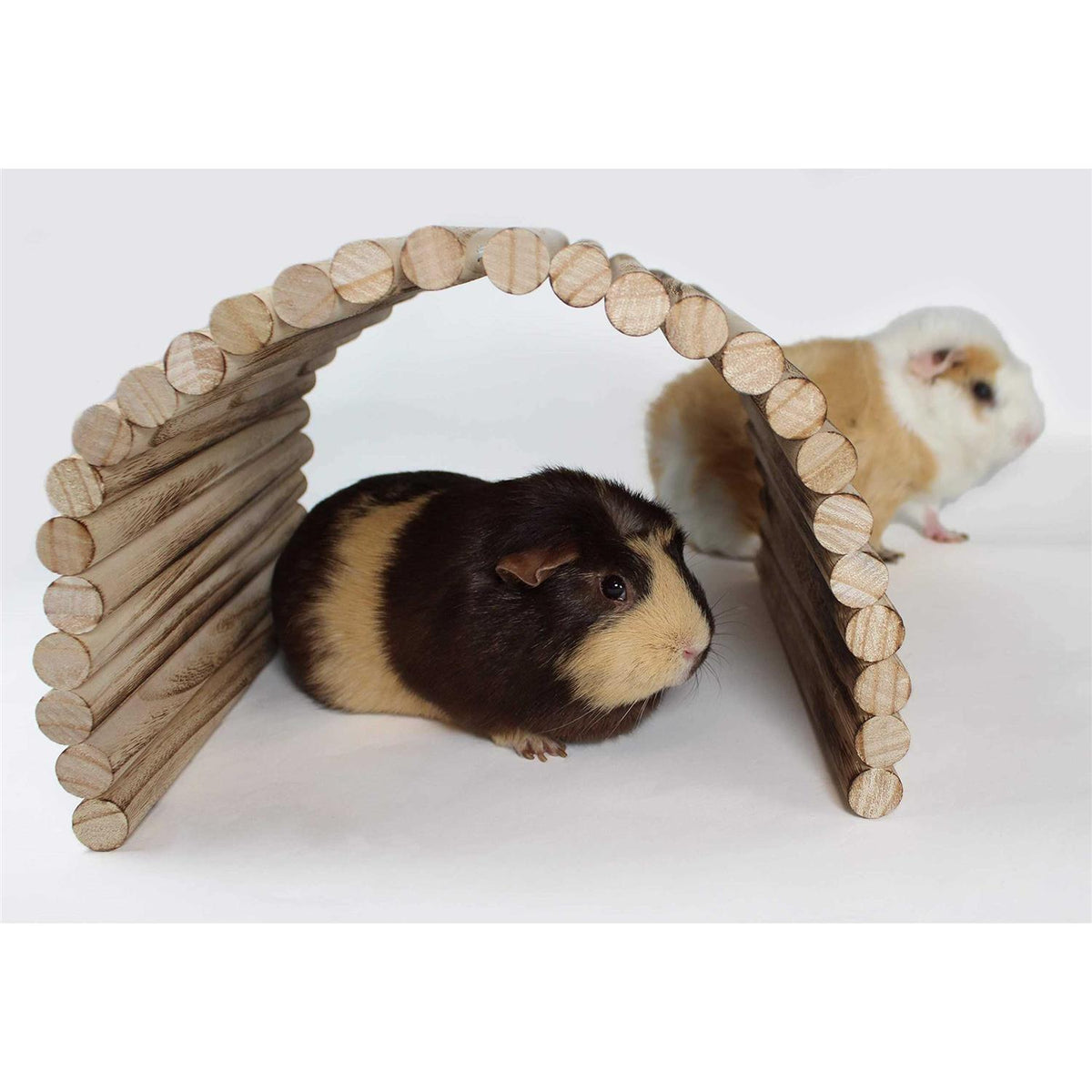 Extra Large Wood House Tunnel Ramp M94793