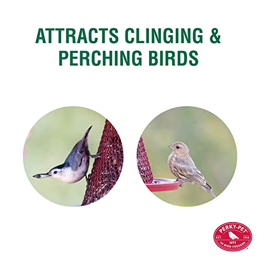 Red Cardinal Bird Feeder - 2.5 Feed Capacity U8399