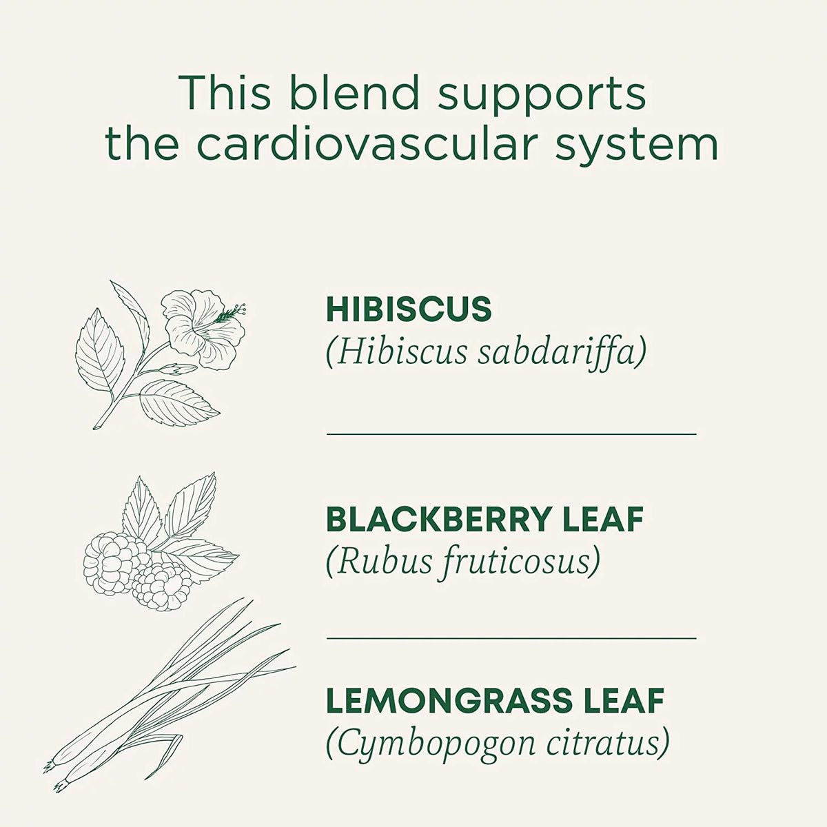Organic Hibiscus Herbal Tea 16 Tea Bags Pack of 3 P1410