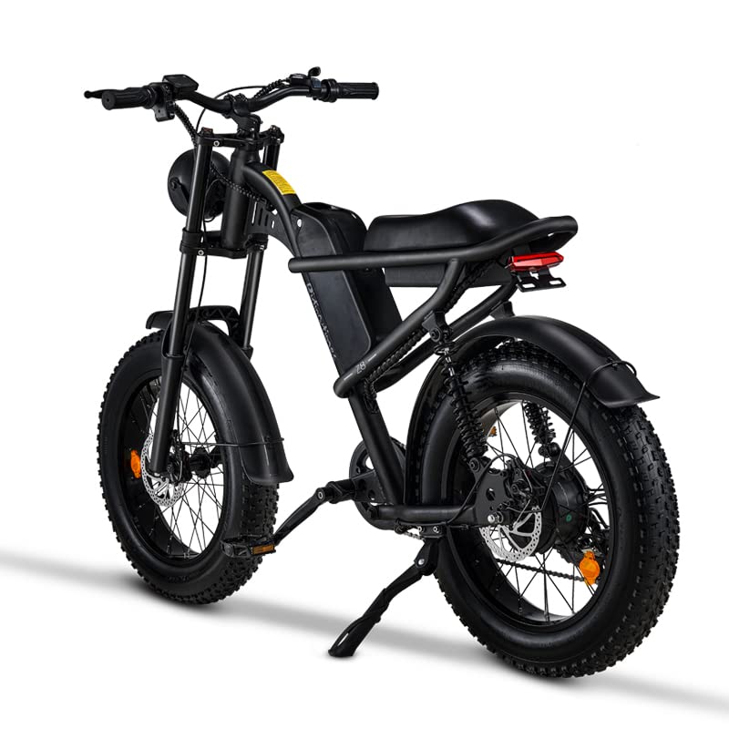 1500W Electric Bike with Full Suspension, 20" Fat Tire, 31.2AH Battery Z3162
