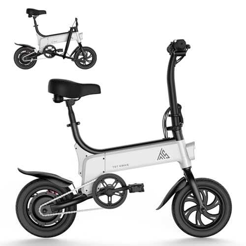 Folding Electric Bike 450W Peak Motor 16MPH 15 Miles 12" Pneumatic Tires V848248