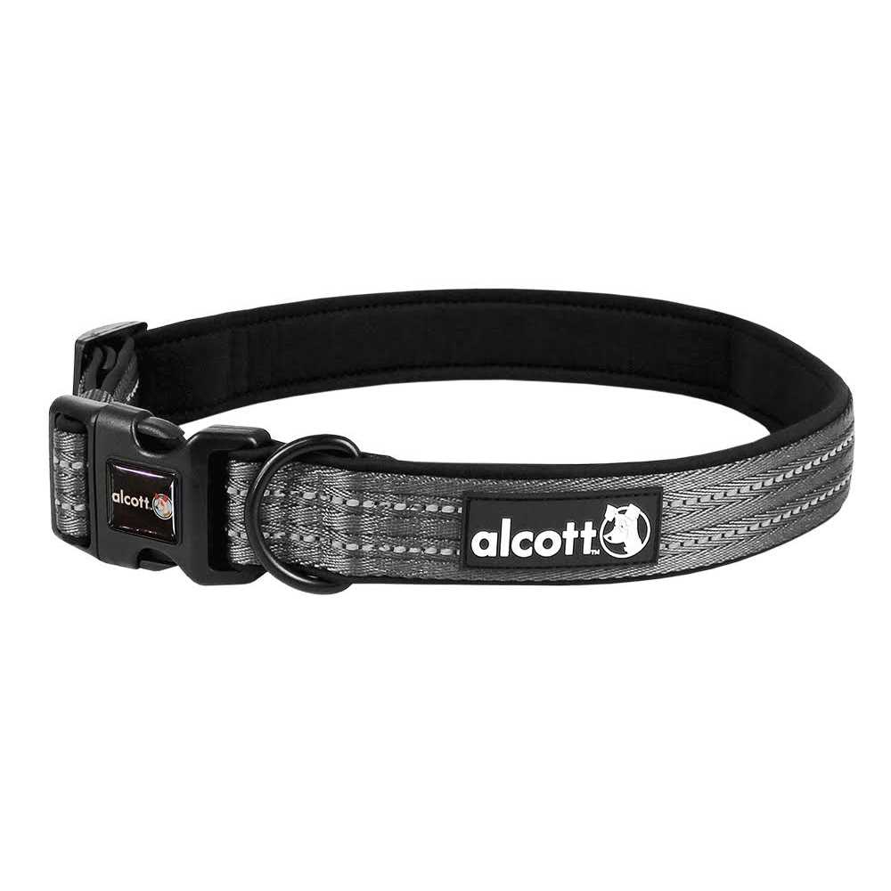 Dog Collar Q349597