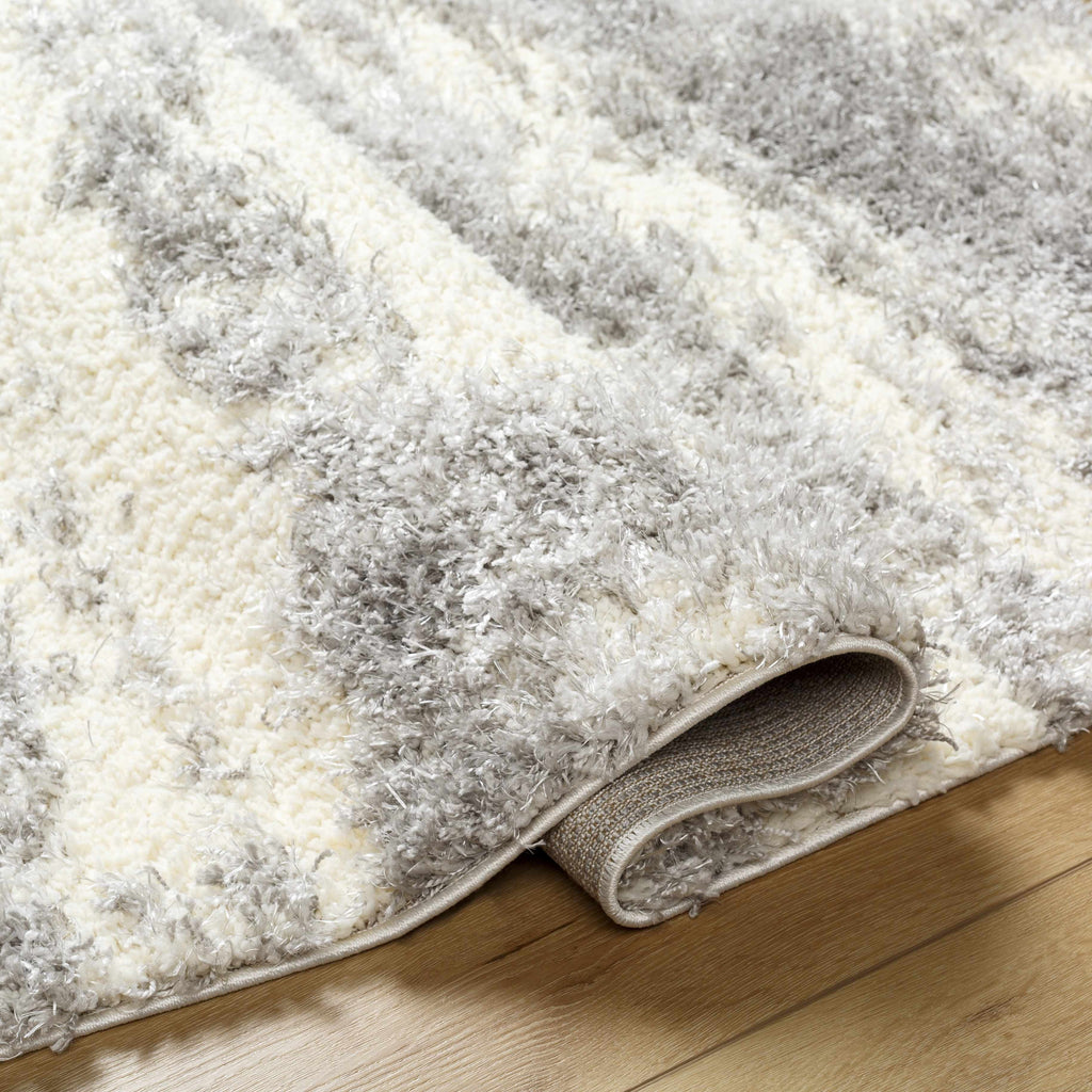 Gray Brown Plush Pile Area Rug 2' x 3' Z640133