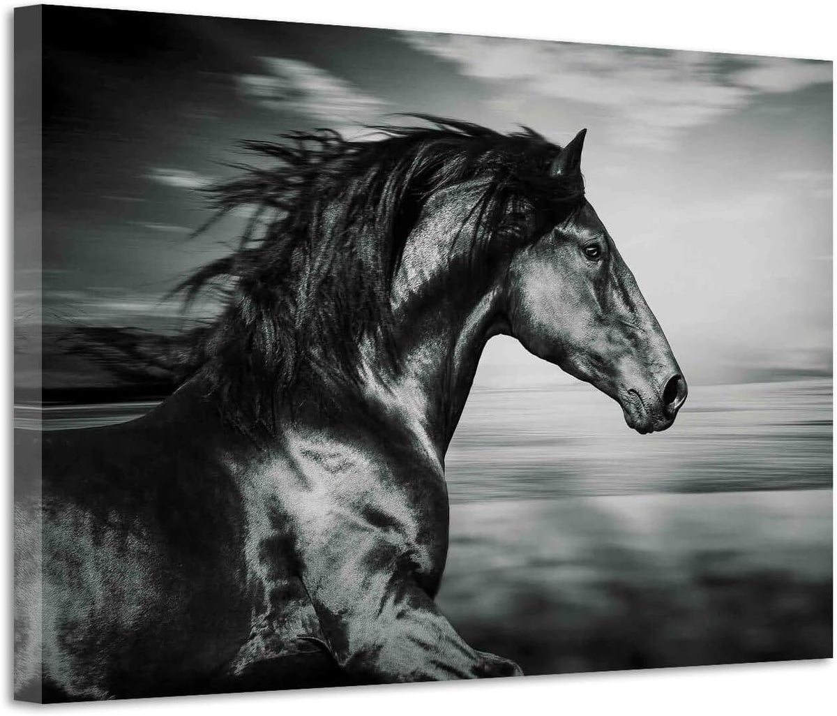 Black Horse Canvas Picture Prints Wild Animal Painting Art Artwork on Canvas K481
