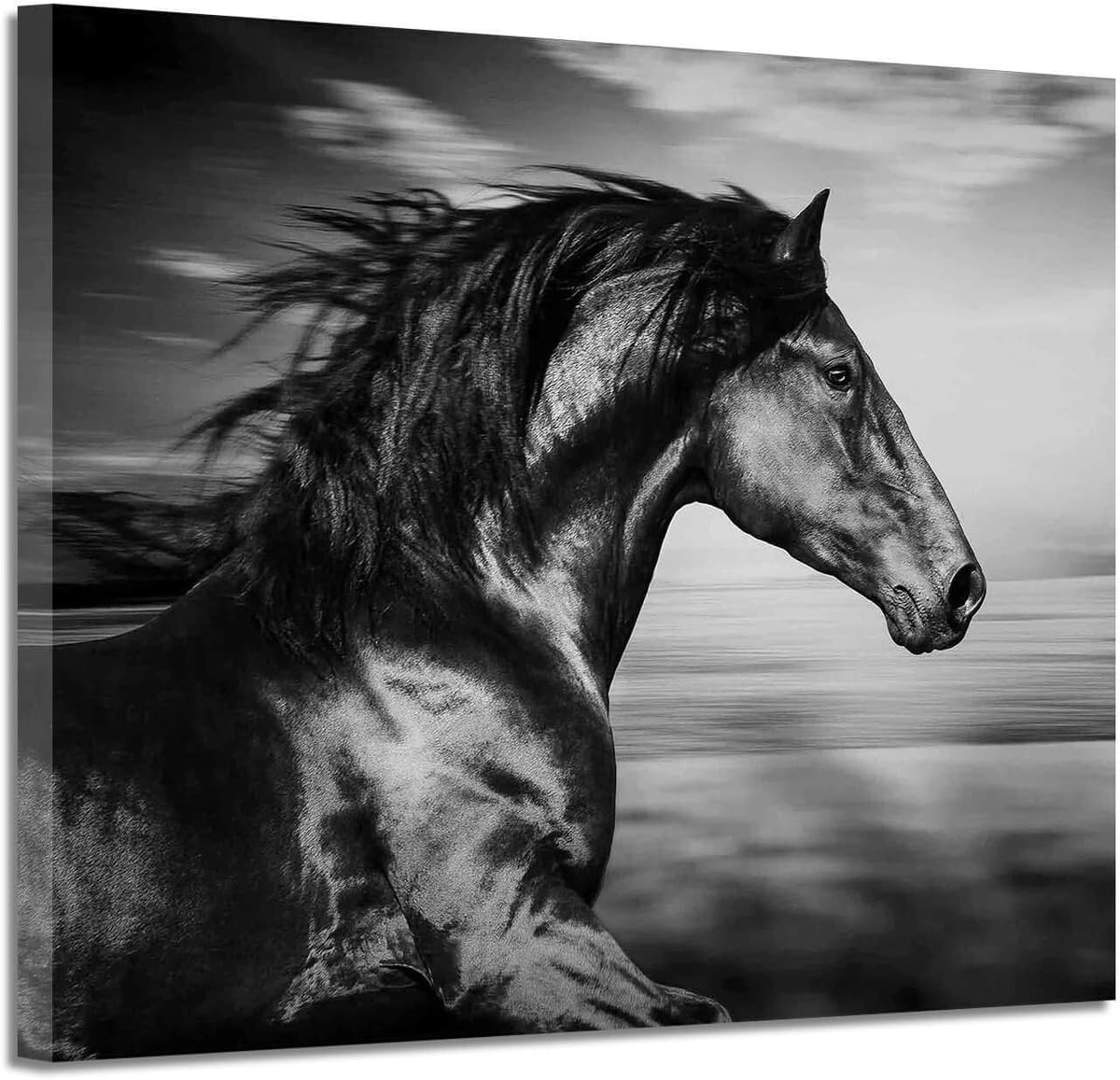 Black Horse Canvas Picture Prints Wild Animal Painting Art Artwork on Canvas K481