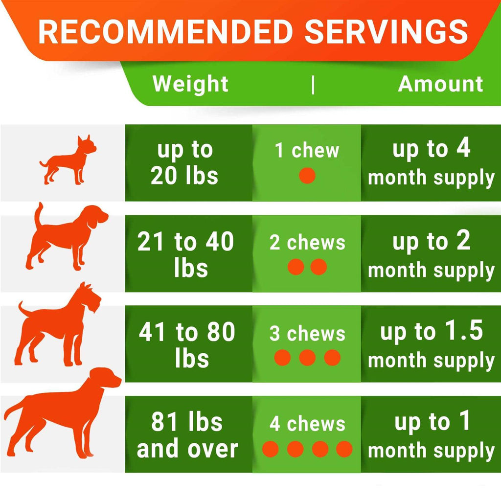 Probiotics for Dogs B271717