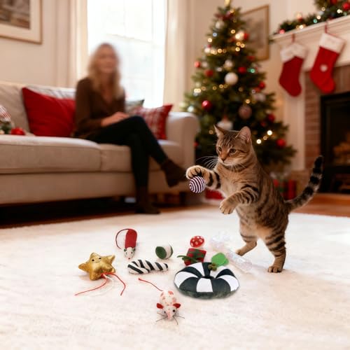 Christmas Cat Toys Set, 10Pcs Catnip Toys with Gift Box L888312