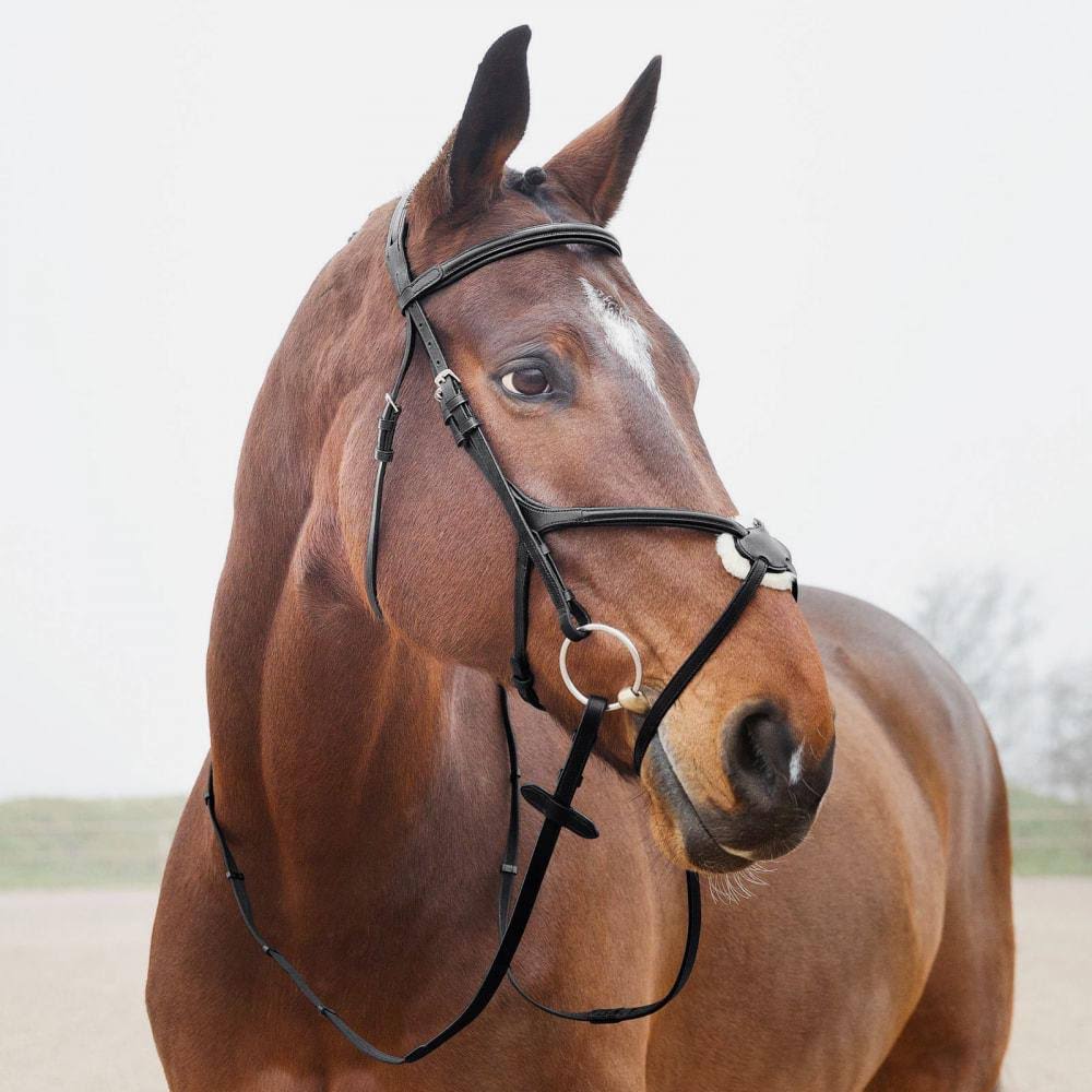 Brown Figure 8 Bridle M974849