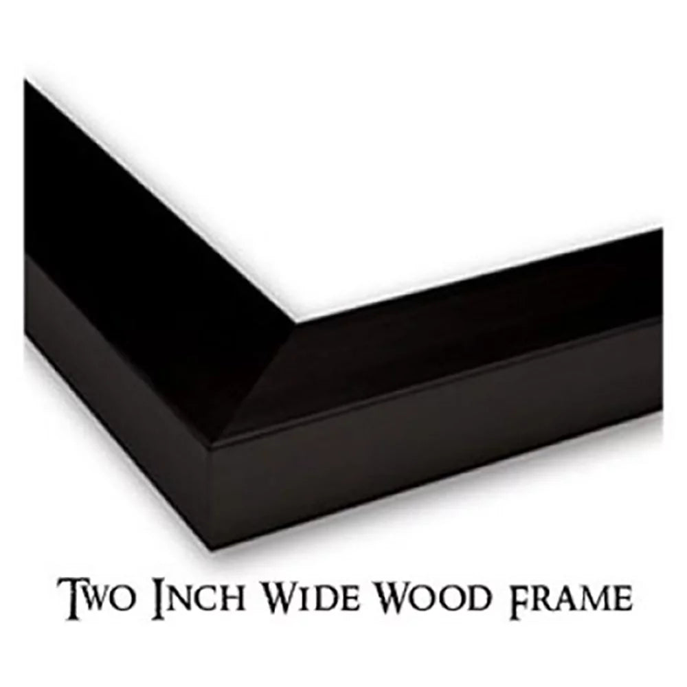 Black Framed Art Print U9459