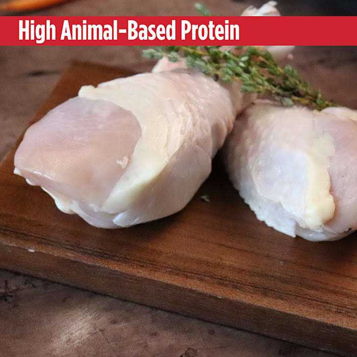 Chicken Dry Cat Food V514304