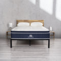 Queen 14 Plush Hybrid Mattress with Cooling Cover W608068