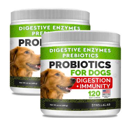 Probiotics for Dogs B271717