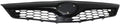 2012 2013 2014 Black Plastic Grille Assembly Z674
