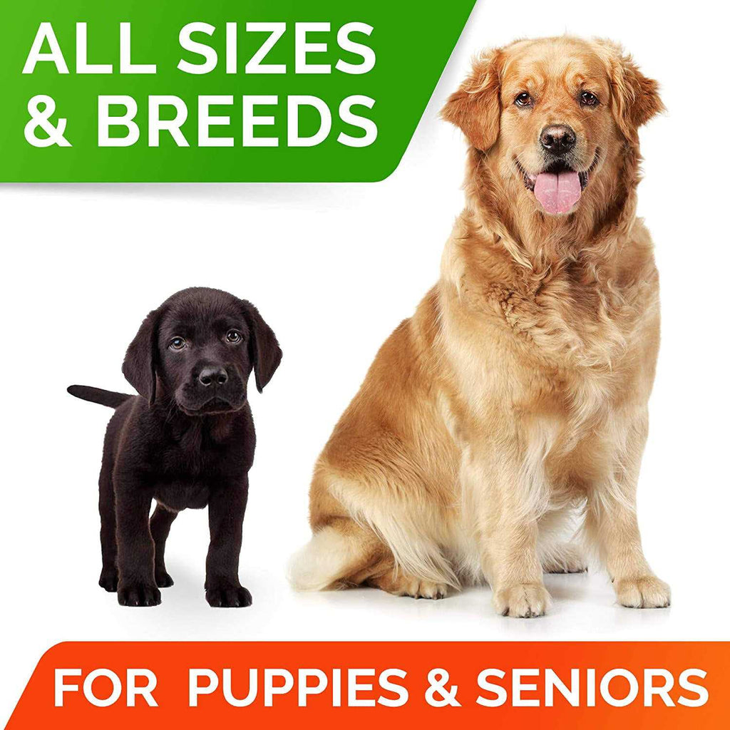 Probiotics for Dogs B271717