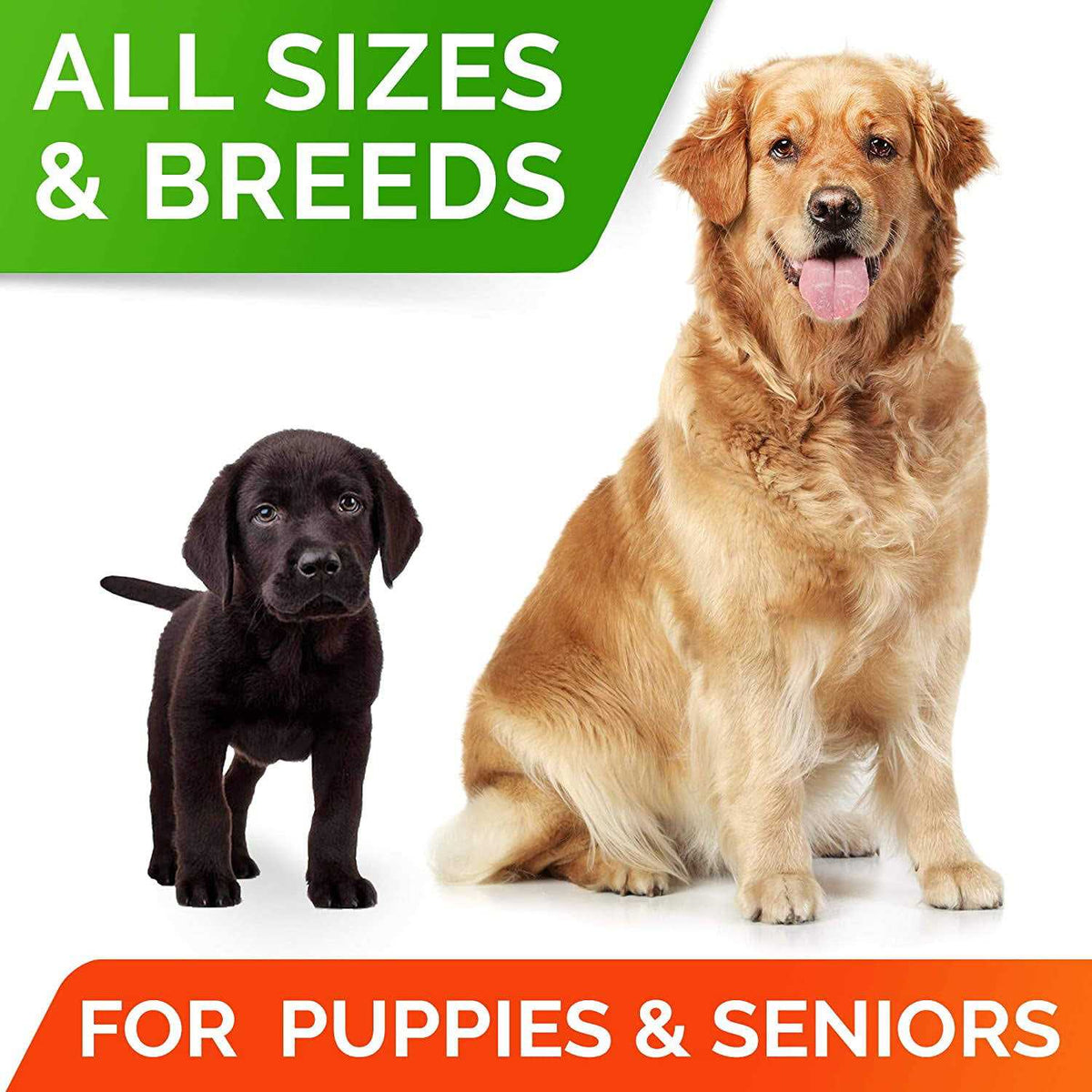 Probiotics for Dogs B271717