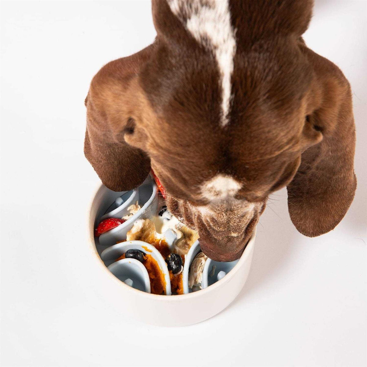 Silicone Bowl Insert Dog Feeding Mat O467208
