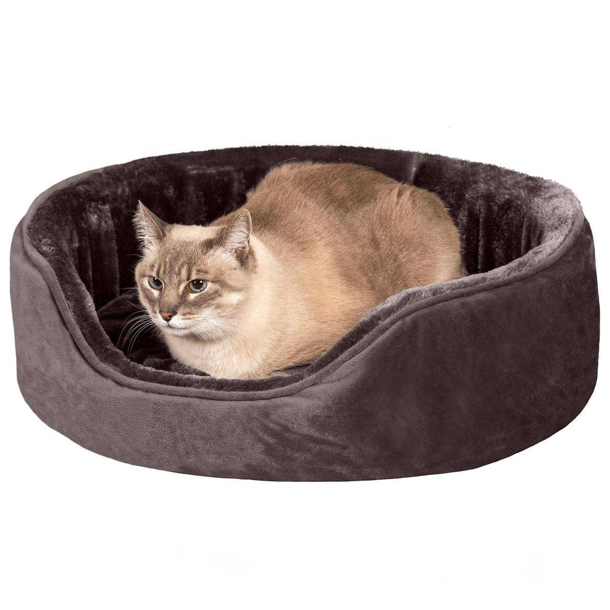 Velvet Oval Dog Bed B182