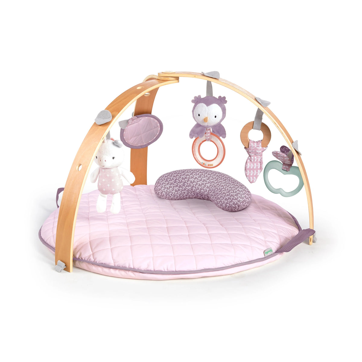 Baby Activity Gym & Tummy Time Play Mat with Storage D2611