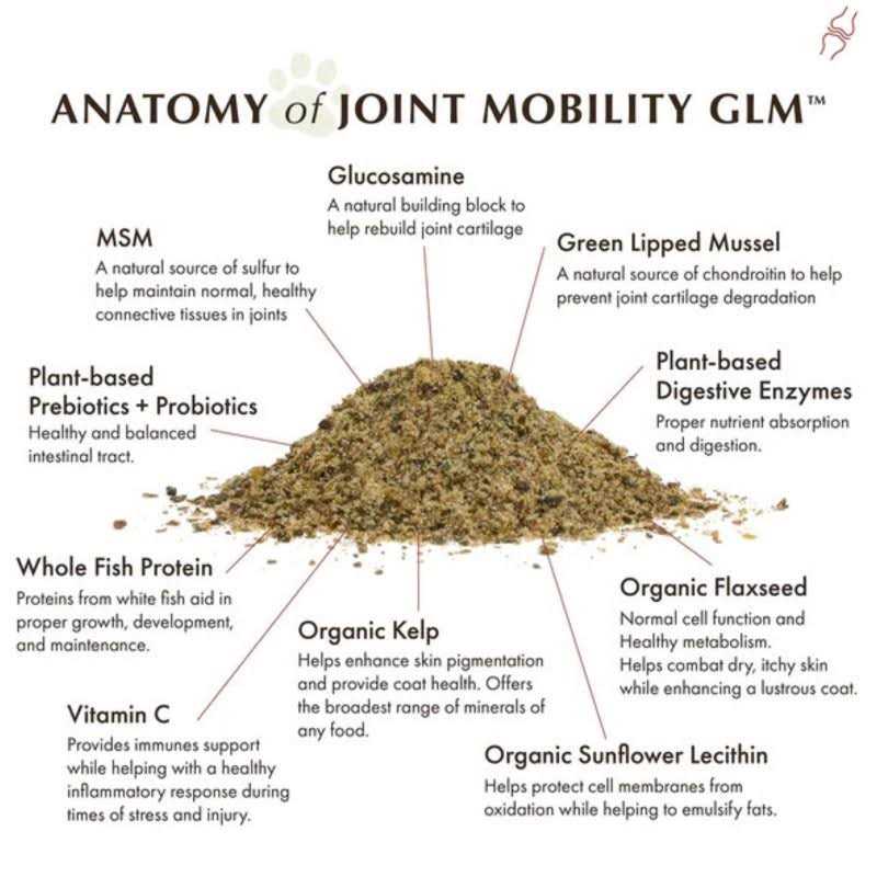 Joint Mobility with Green Lipped Mussel P662