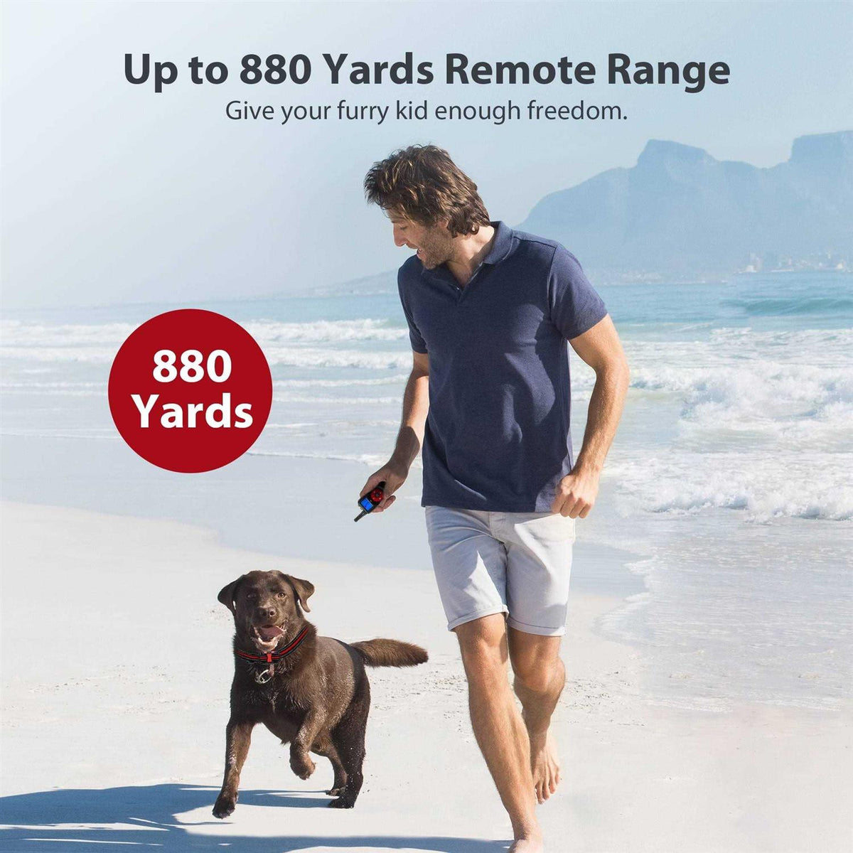 Remote Dog Training Shock Collar System C417