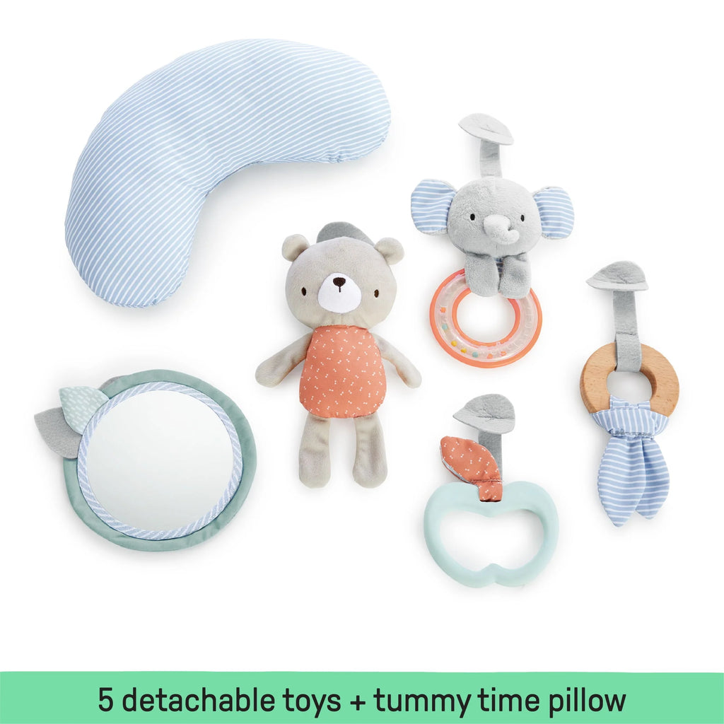 Baby Activity Gym & Tummy Time Play Mat with Storage D2611