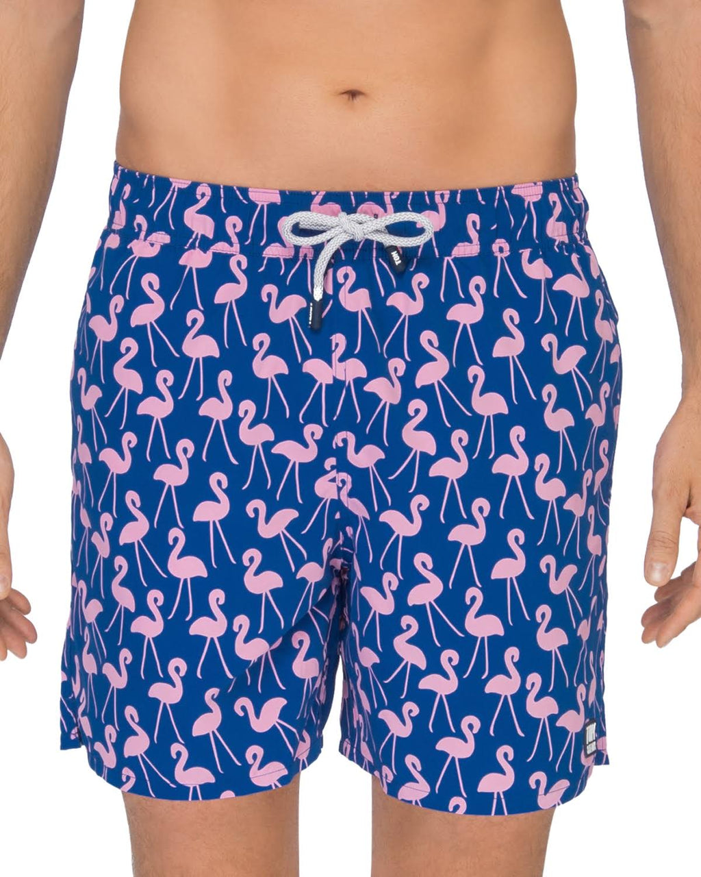 Rose/ Blue Flamingo Print Swim Trunks Z700778