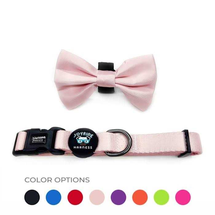 Dog Collar with Removable Bow Tie S679637